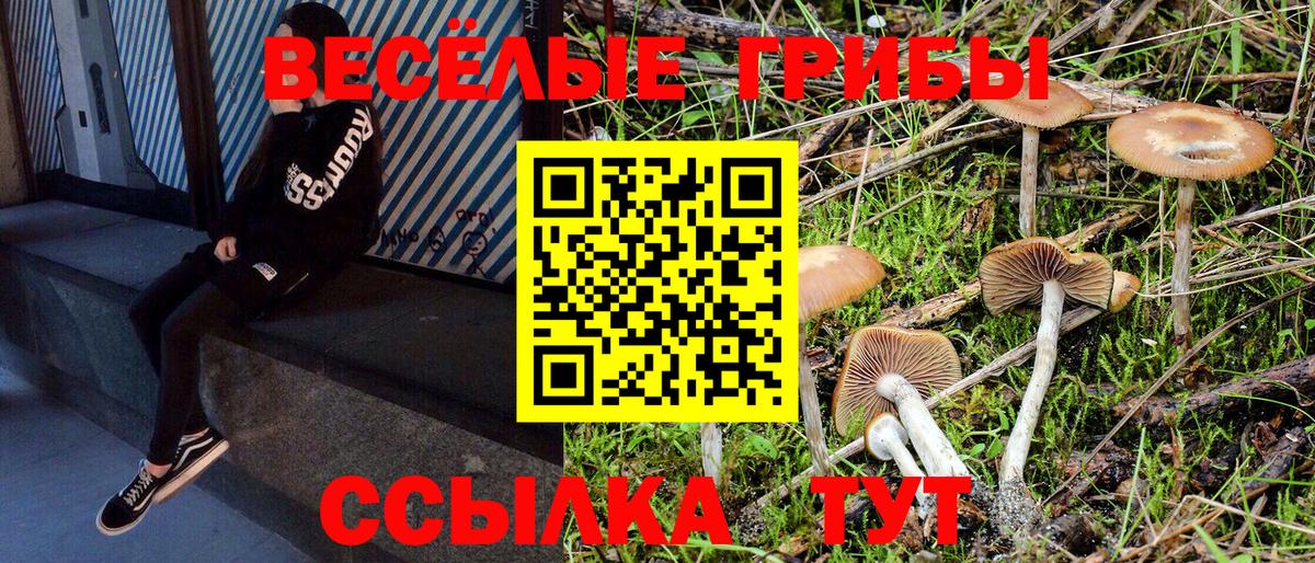 Псилоцибиновые грибы мицелий Шатура