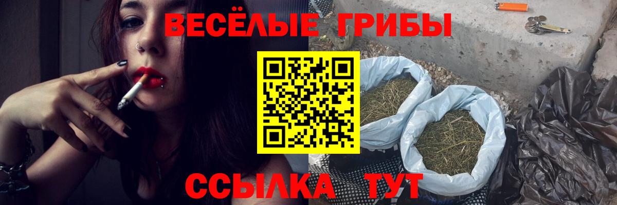 Псилоцибиновые грибы ЛСД  Вход с VPN  Шатура 